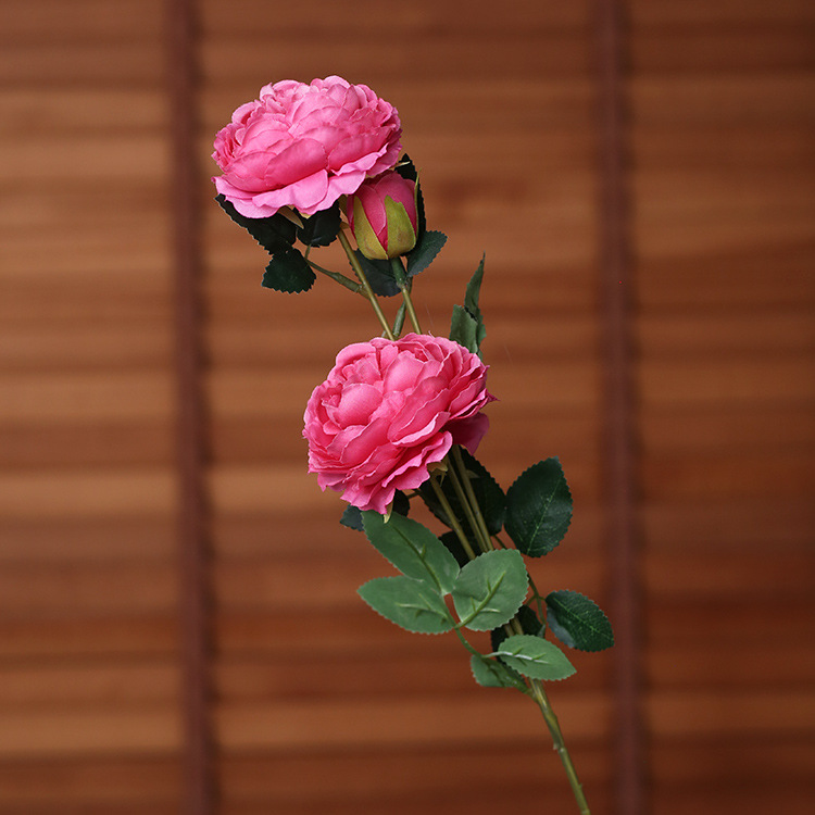10 Pcs/Lot 65cm European Artificial Flower 3 Head Peony Wedding Decorative for Home Decor Peony Silk Rose wreath Fake flower Bouquet, White
10 Pcs/Lot 65cm European Artificial Flower 3 Head Peony Wedding Decorative for Home Decor Peony Silk Rose wreath Fake flower Bouquet, White