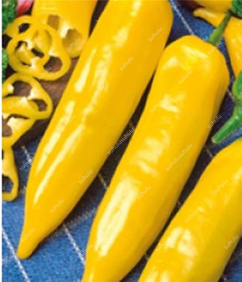 100 Pcs Sweet Pepper seeds Fast Growing Organic Non-GMO Delicious Tasty Planting Season Purify The Air Decorative Landscaping Aerobic Potted Radiation Protection
100 Pcs Sweet Pepper seeds Fast Growing Organic Non-GMO Delicious Tasty Planting Season Purify The Air Decorative Landscaping Aerobic Potted Radiation Protection