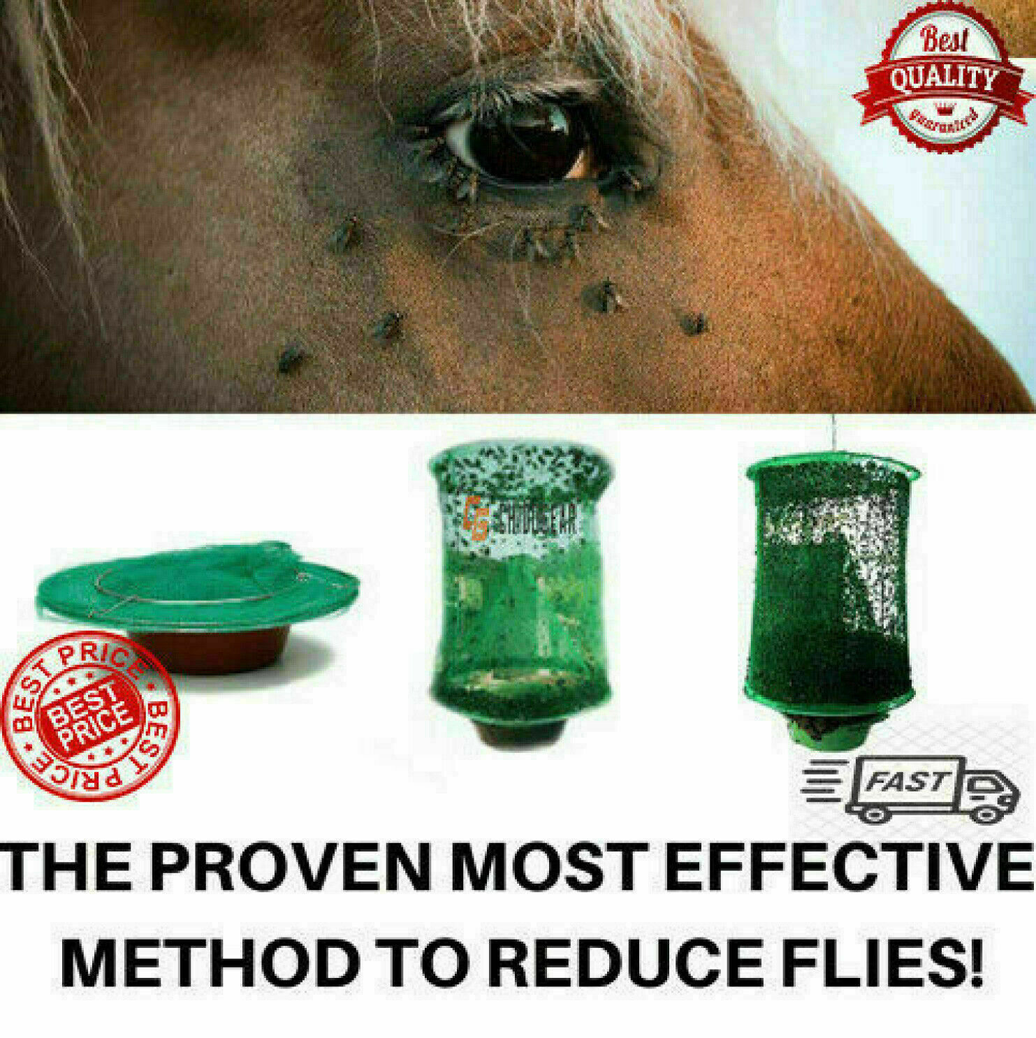 DHL The Ranch Fly Trapper Reusable Pest Bug Reusable Hanging Fly Catcher Killer Cage Mosquito Zapper Cage Net Trap5369695