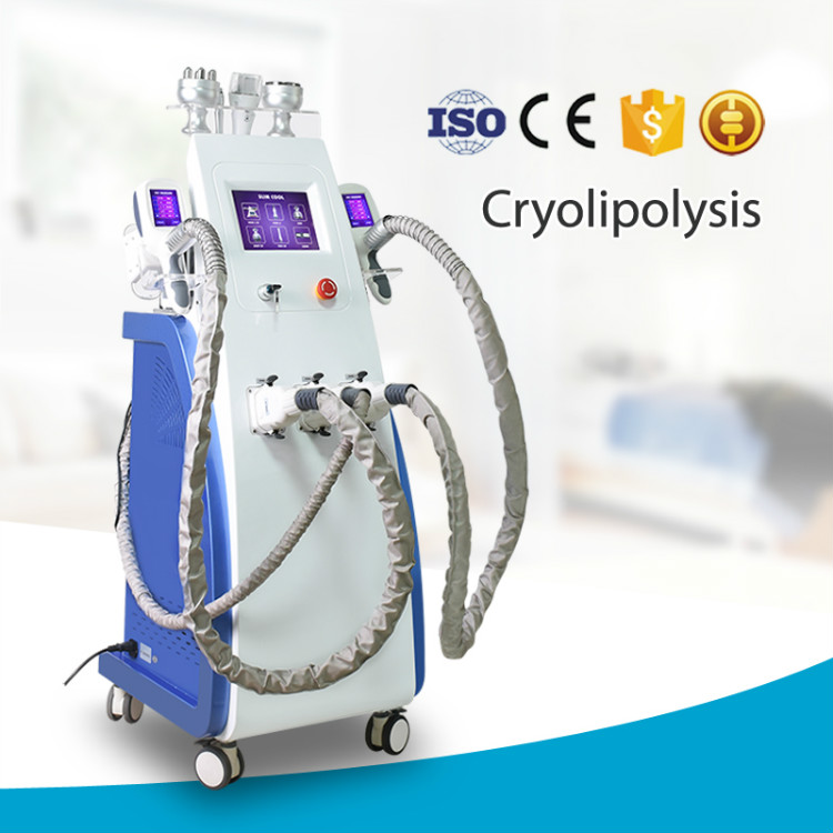 2020 Newest Model Fat Freezing Cryolipolysis Slimming Machine Cryotherapy Lipolaser Machine 3 Cyro Handles Slimming Machine
2020 Newest Model Fat Freezing Cryolipolysis Slimming Machine Cryotherapy Lipolaser Machine 3 Cyro Handles Slimming Machine