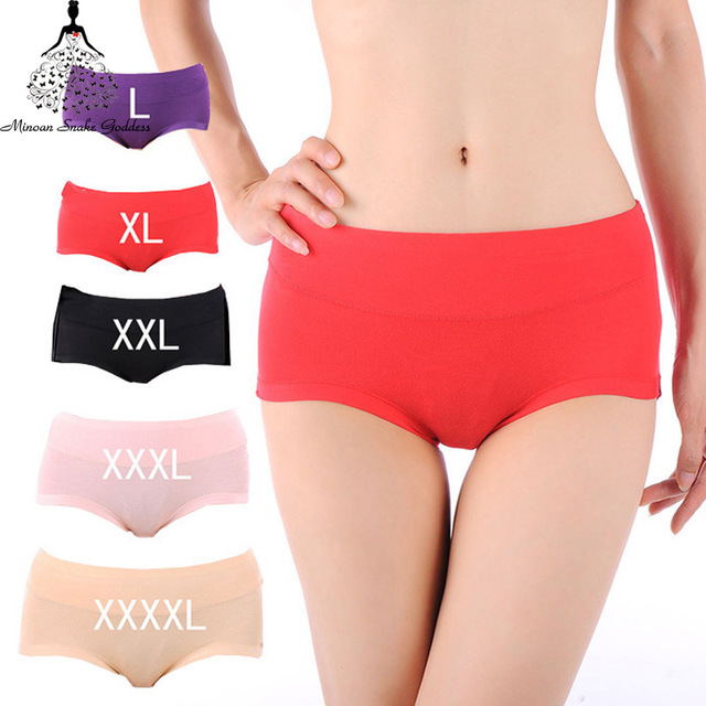 Sexy Seamless Panties Plus Size For Women Sexy Underwear Womens Briefs Mid-rise Panties Women Plus Size XXXXL, Pink
Sexy Seamless Panties Plus Size For Women Sexy Underwear Womens Briefs Mid-rise Panties Women Plus Size XXXXL, Pink