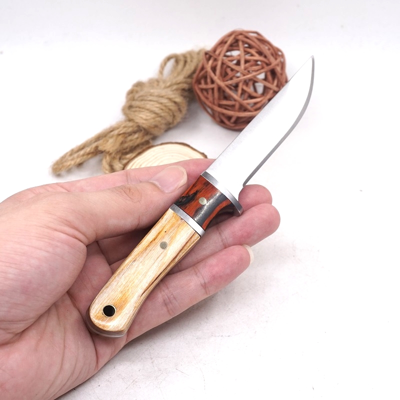 Fixed Hunting Knife Outdoor Small Straight Knives Camping Survival Pocket Tactical Knife EDC Tools 5CR13MOV Blade Wood Handle
Fixed Hunting Knife Outdoor Small Straight Knives Camping Survival Pocket Tactical Knife EDC Tools 5CR13MOV Blade Wood Handle