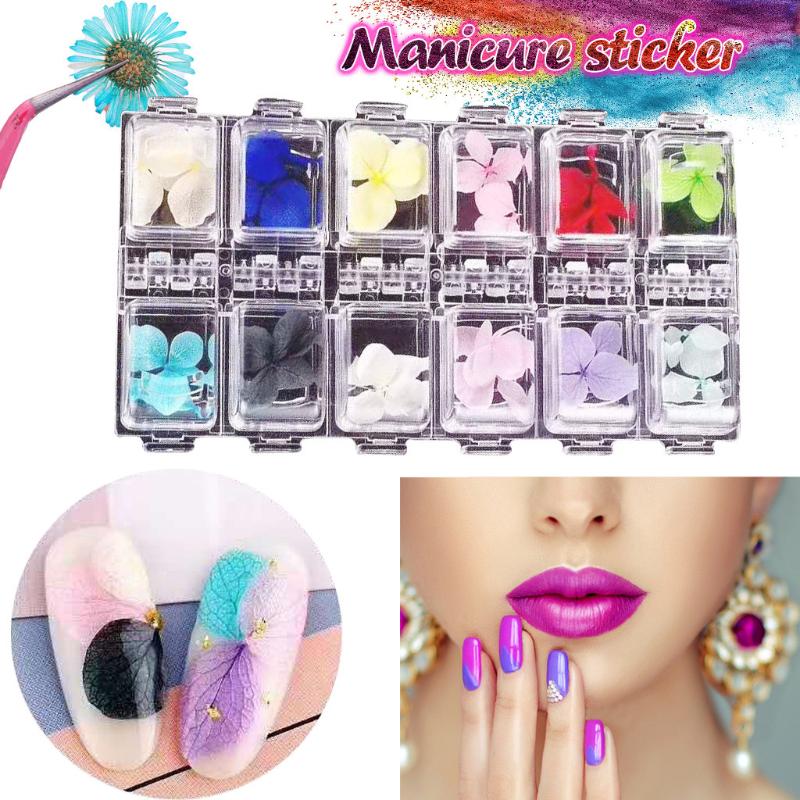 Real Dried Flower 3D Nail Decoration For UV Gel Acrylic Nail Art Tips DIY Art Accessories 12 Colors akcesoria do paznokci
Real Dried Flower 3D Nail Decoration For UV Gel Acrylic Nail Art Tips DIY Art Accessories 12 Colors akcesoria do paznokci