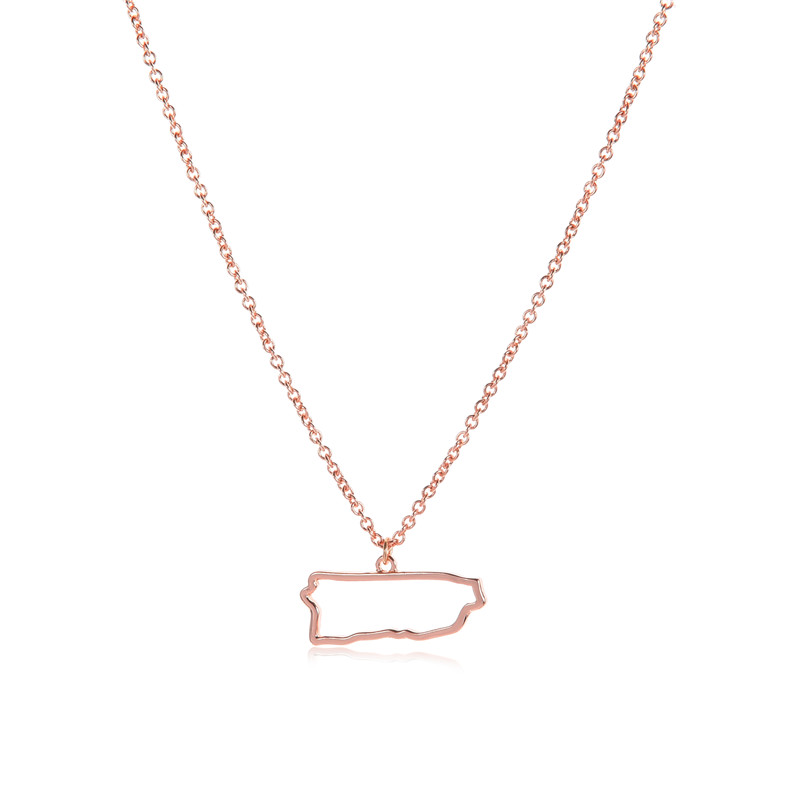 10PCS Tiny North America Caribbean Puerto Rico Map Necklace Outline Country State City Island Puerto Rican Continent Chain Necklaces