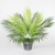 1 Bouquet Large Green Sago Cycas Leaf Artificial Plant Leaf Decorative Flowers Auxiliary Material Flower Decoration Fake Leaves, As pic
1 Bouquet Large Green Sago Cycas Leaf Artificial Plant Leaf Decorative Flowers Auxiliary Material Flower Decoration Fake Leaves, As pic