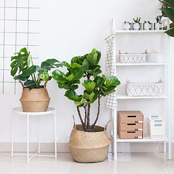 Woven Seagrass Basket Tote Belly Basket for Storage Laundry Picnic Plant Pot Cover Beach Bag