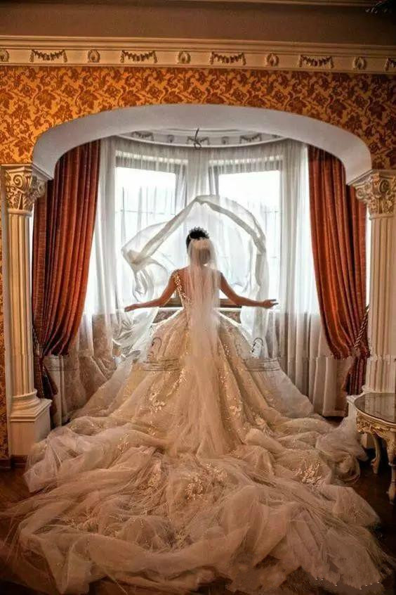 gorgeous luxury wedding dresses beads 3d floral appliques lace chapel train bridal gowns v neckline plus size ball gown wedding dress