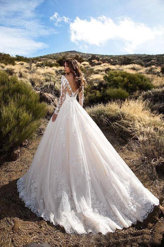Sexy V Neck Backless A Line Sheer Lace Applique Long Sleeve Bridal Wedding Dress Classic Wedding Gowns