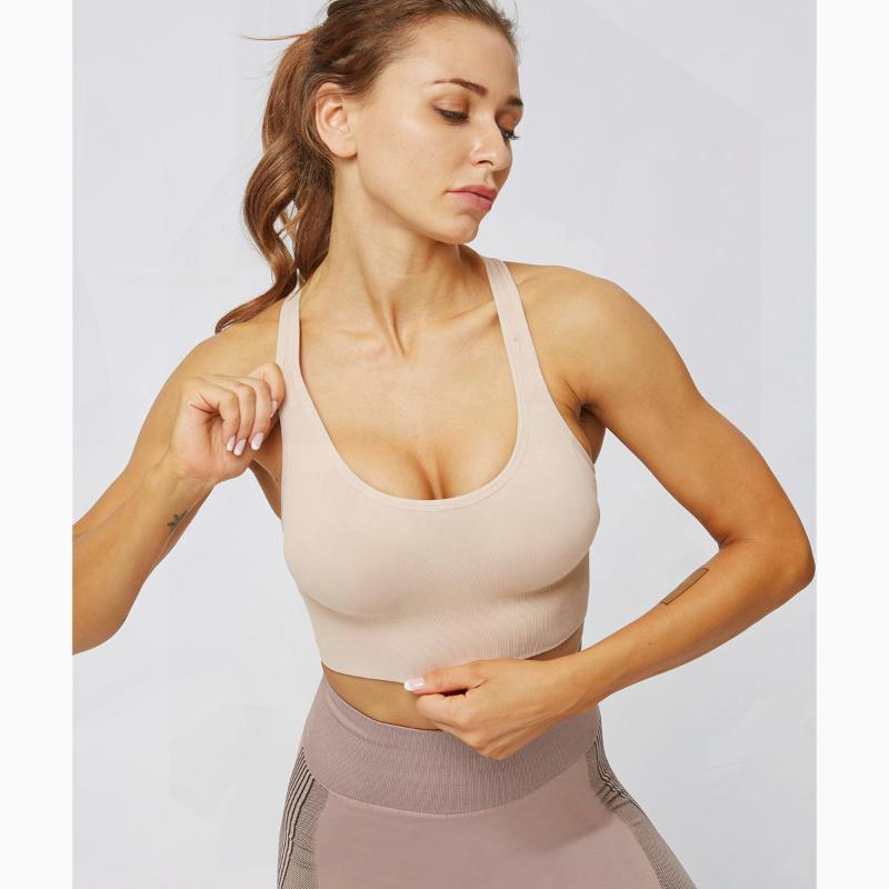 Sports Bra Plus Size Sports Wear for Women Gym Sexy Girl Activewear for Women Fitness Sport Bra New Colorvalue Top Active Wear, Pink
Sports Bra Plus Size Sports Wear for Women Gym Sexy Girl Activewear for Women Fitness Sport Bra New Colorvalue Top Active Wear, Pink