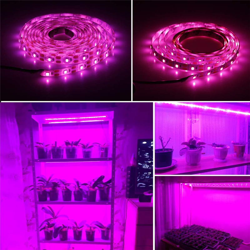 LED Grow Light Full Spectrum Plant Grow Strip Light USB 5V 2835 SMD Flexible Lamp for Indoor Plant Flower Seedling