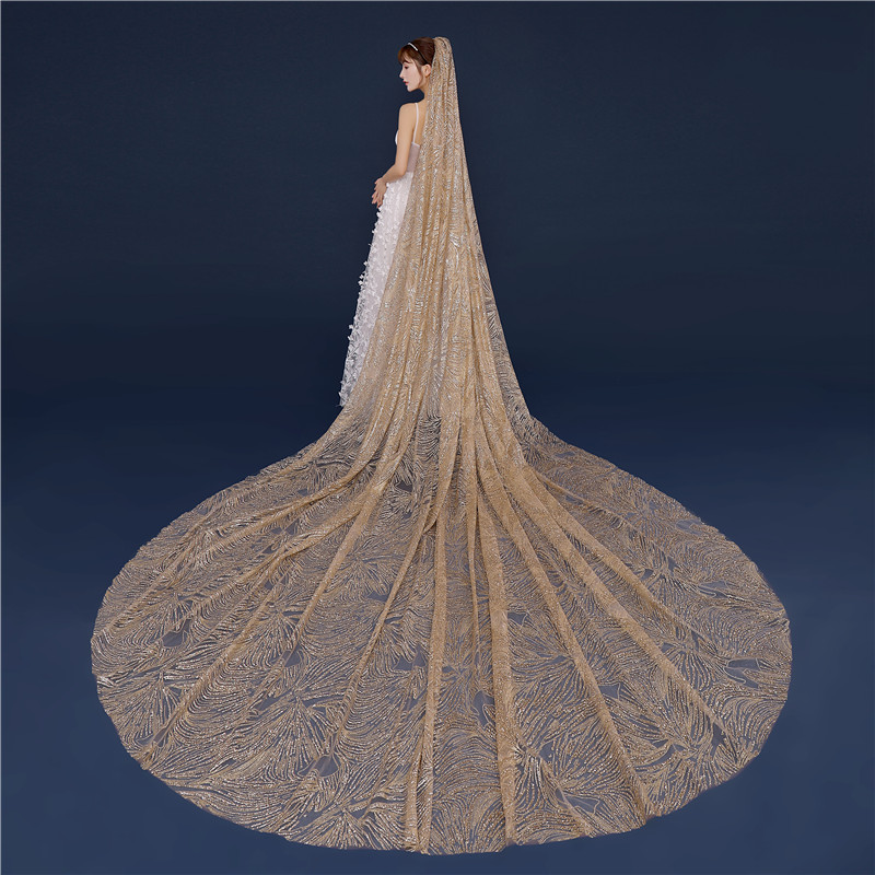 Charming Champagne 3.5 Meters Long Train Wedding Bridal Veils Wedding Veils Bridal Accessories Veils V401062