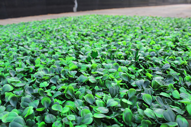 25CMX 25CM artificial turf grass mat Green Artificial Plant Lawns Landscape Carpet moss wall for party home garden decoration
25CMX 25CM artificial turf grass mat Green Artificial Plant Lawns Landscape Carpet moss wall for party home garden decoration