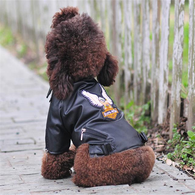 Glorious Eagle Pattern Dog Coat PU Leather Jacket Soft Waterproof Outdoor Puppy Outerwear Fashion Clothes for Small Pet(-XXL, Black
Glorious Eagle Pattern Dog Coat PU Leather Jacket Soft Waterproof Outdoor Puppy Outerwear Fashion Clothes for Small Pet(-XXL, Black