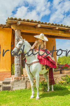 Traditional Red Mexican Quinceanera Dresses V Neck Embroidered Lace Long Sleeve Prom Cinderella Princess Cowgirl Sweet 16 Birthday Dress