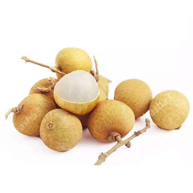 Hot Sale delious fruits Longan bonsai Organic Tropical Fruit Tree plants For DIY Home Garden decoration
Hot Sale delious fruits Longan bonsai Organic Tropical Fruit Tree plants For DIY Home Garden decoration