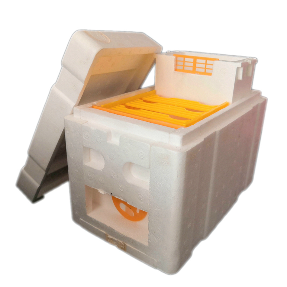 X19 Mini Nucs Wholesale Complete Mini Mating Beehive with Plastic Frames Removable Feeder Beekeeping Pollination Box Nuc Beehive
X19 Mini Nucs Wholesale Complete Mini Mating Beehive with Plastic Frames Removable Feeder Beekeeping Pollination Box Nuc Beehive