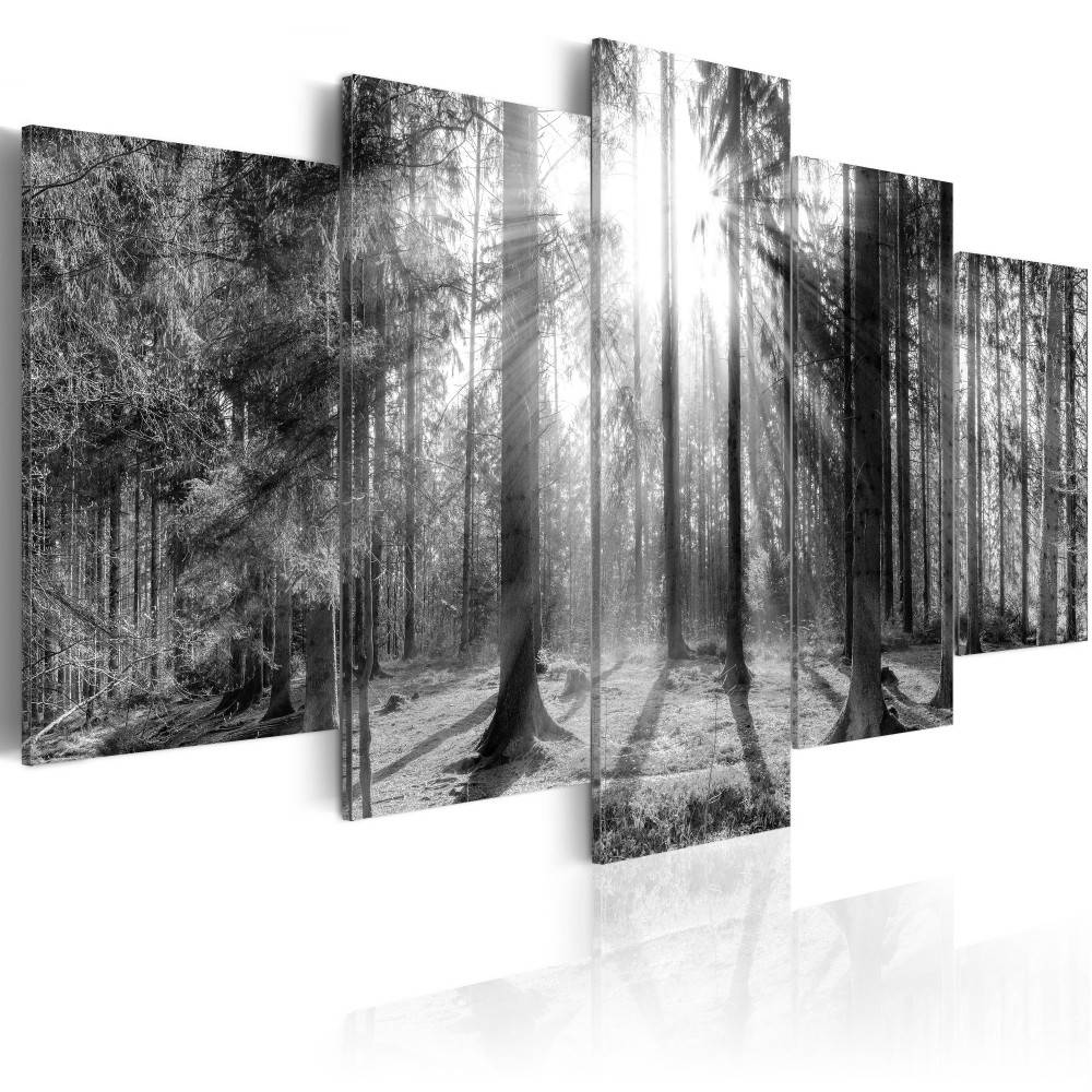 Hd modern Fashion Wall Art Canvas Painting 5 Pieces Green Brown Black Sunlit Forest Landscape Modern Home Decoration, No Frame