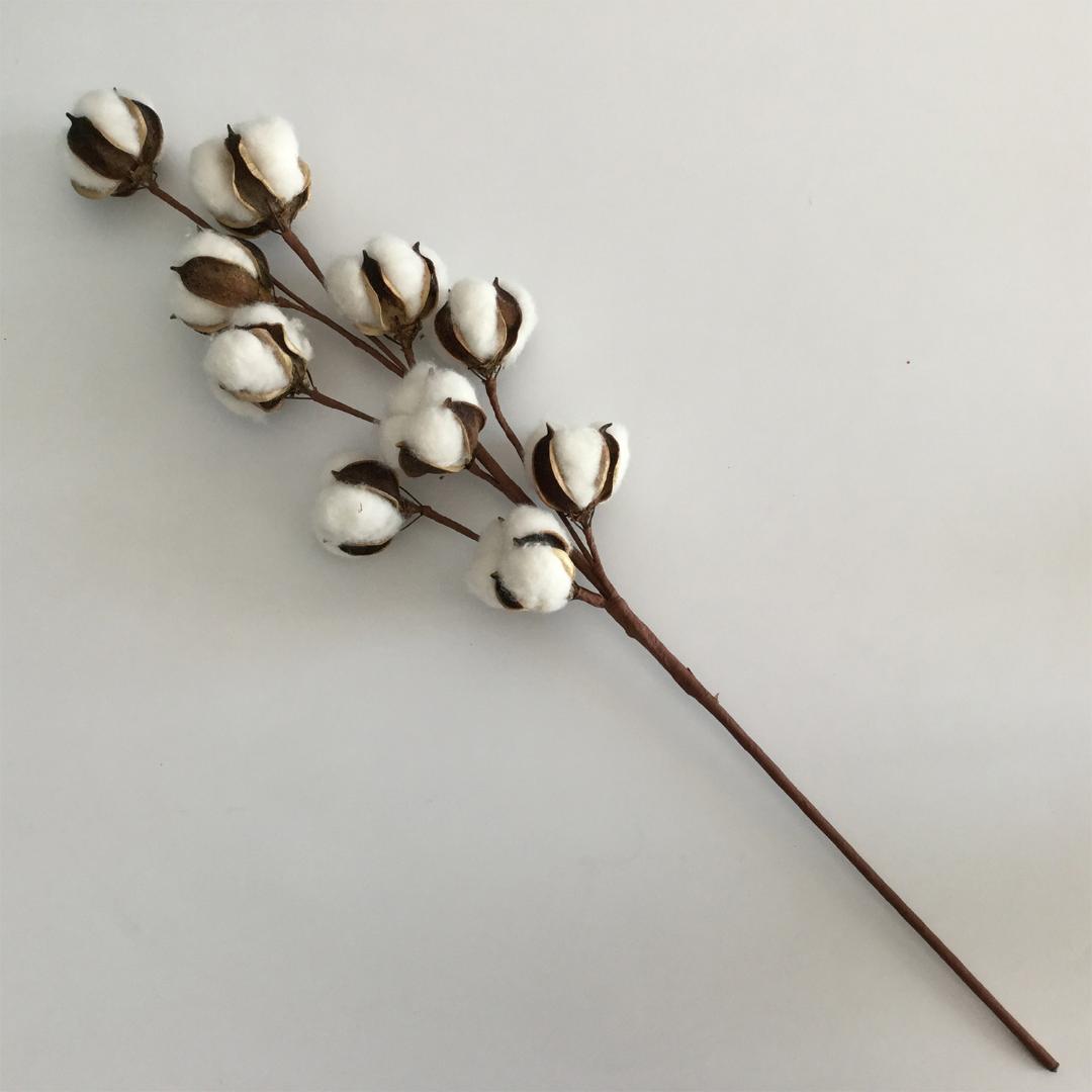 3 Pack 21 inch Cotton Stems Farmhouse Decoration Floral Picks - Rustic Style Vase Filler Decoration Flower, As shown
3 Pack 21 inch Cotton Stems Farmhouse Decoration Floral Picks - Rustic Style Vase Filler Decoration Flower, As shown