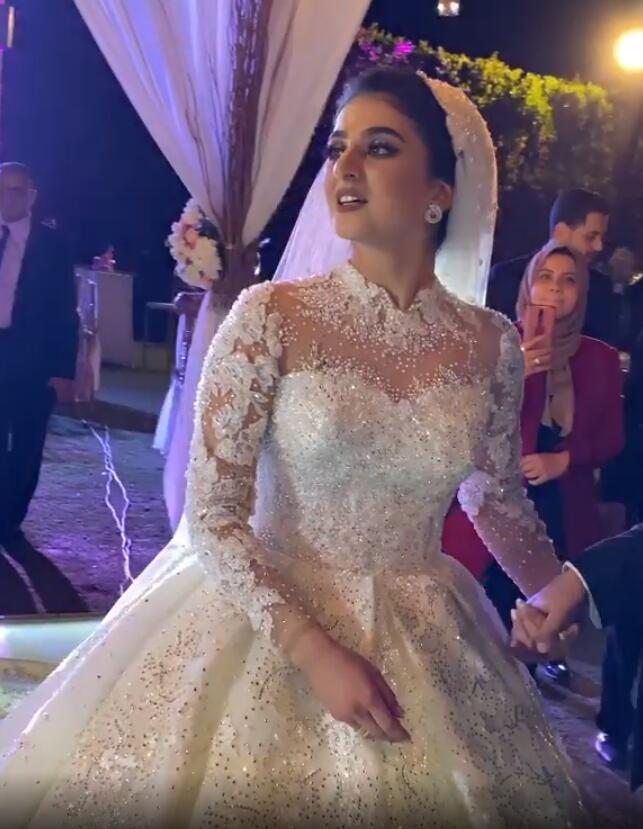 2020 Plus Size Arabic Aso Ebi Sparkly Sexy Vintage Wedding Dresses Lace Crystals Bridal Dresses Long Sleeves Wedding Gowns ZJ506