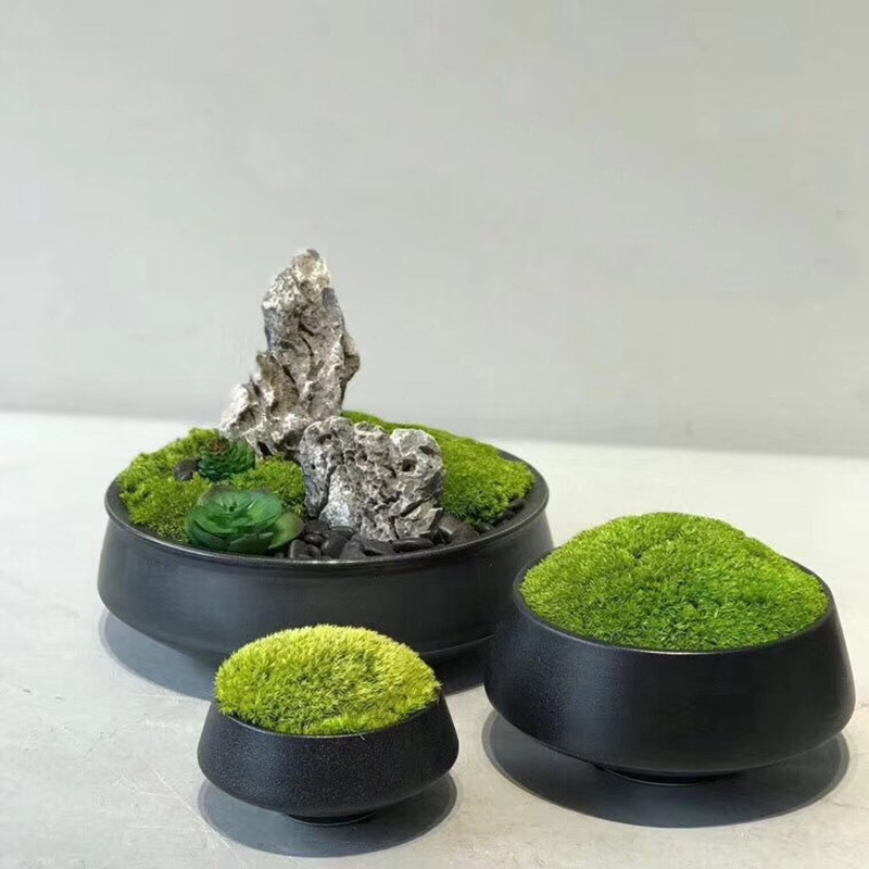 Artificial green moss plant immortal fake flower moss grass stone home hotal office wall DIY decorative flower
Artificial green moss plant immortal fake flower moss grass stone home hotal office wall DIY decorative flower