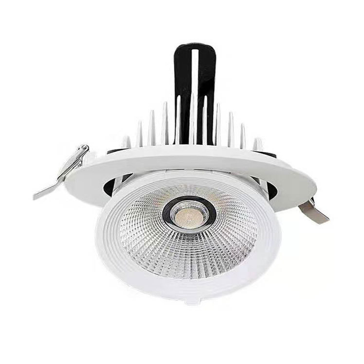 Dimmable Led Spotlights Embedded Ceiling Light Cob Elephant Trunk Lamp Living Room Aisle Clothing Store Bull's Eye Down light
Dimmable Led Spotlights Embedded Ceiling Light Cob Elephant Trunk Lamp Living Room Aisle Clothing Store Bull's Eye Down light