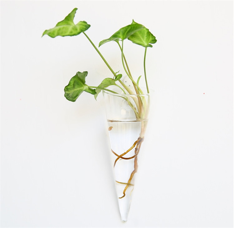 3PCS Cone Shape Glass Wall Vase For Water Plants Wall-Mounted Flower Holders Decorative Home Indoor Wall Hydroponic vases