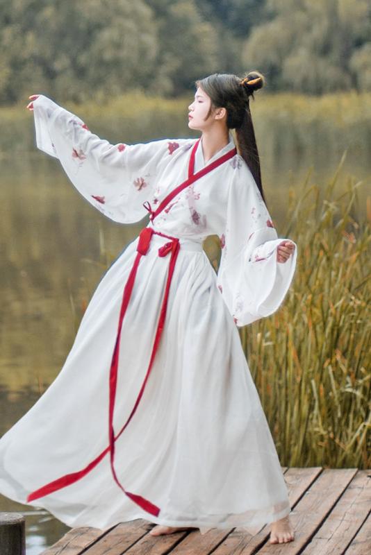 Elegant Hanfu Dress Ancient Chinese Costume Chinese Style Embroidery Tang Dynasty Traditional Nation Dance Princess Dress