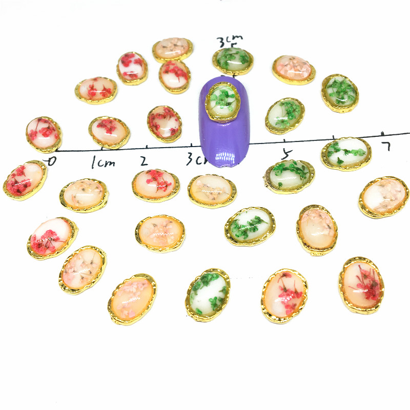 10Pcs Dried Flowers Nail Jewelry Charms Photo Frame 3D Oval Stone nail art flowers for Design UV Diy
10Pcs Dried Flowers Nail Jewelry Charms Photo Frame 3D Oval Stone nail art flowers for Design UV Diy