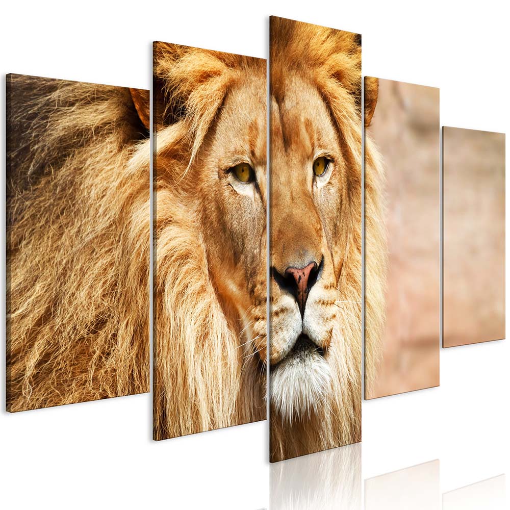 5 Panel Oil Painting Animal Lion Art Canvas Wall Art Lion King Picture Landscape Modern Living Room Decorative No Frame