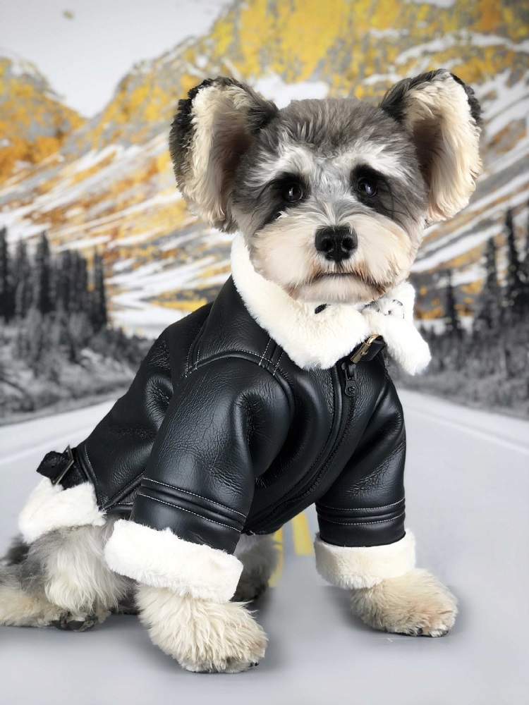 Free shipping dog clothes winter thicken leather fur super warm dog leather jacket dog coat cat pet clothes poodle schnauzer, Black
Free shipping dog clothes winter thicken leather fur super warm dog leather jacket dog coat cat pet clothes poodle schnauzer, Black
