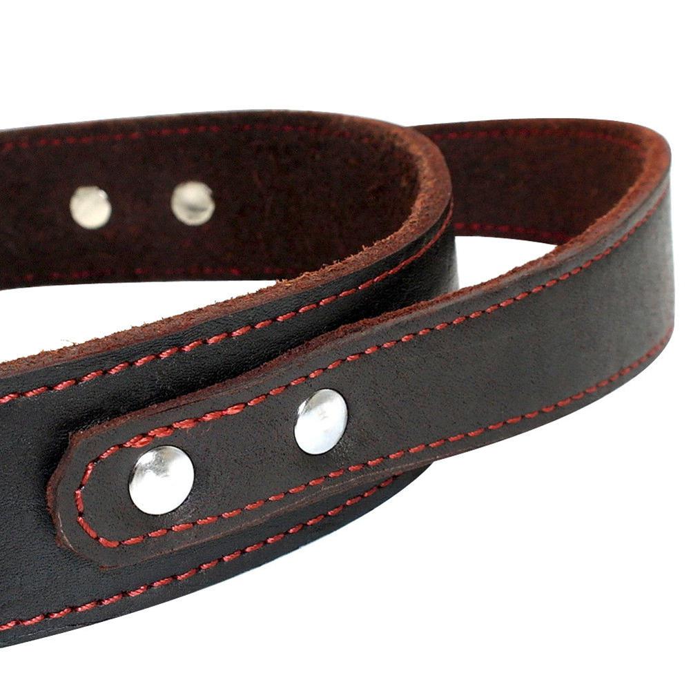 TPFOCUS Stretchable Leather Pet Dog Collar Adjustable Neck Collar Supplies Pet Accessory