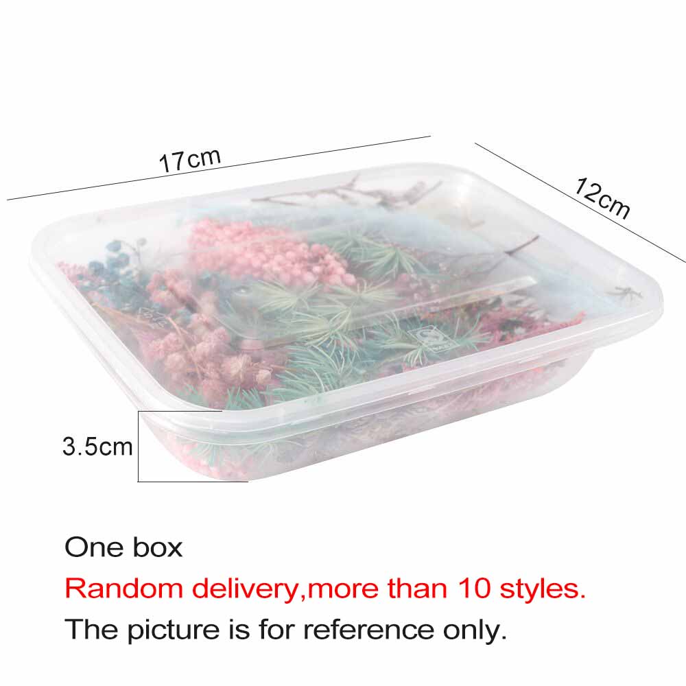 1 Box Real Dried Flower Dry Plants For Aromatherapy Candle Epoxy Resin Pendant Necklace Jewelry Making Craft DIY Accessories
1 Box Real Dried Flower Dry Plants For Aromatherapy Candle Epoxy Resin Pendant Necklace Jewelry Making Craft DIY Accessories