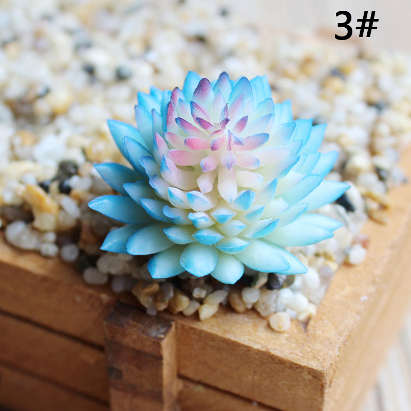 Artificial Plastic Succulent Plant Sinocrassula Flower Home Office Decor Gift Coffee Table, Dining Room Table,office,etc
Artificial Plastic Succulent Plant Sinocrassula Flower Home Office Decor Gift Coffee Table, Dining Room Table,office,etc