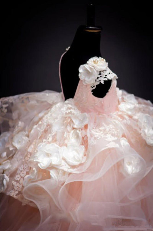 Blush Pink Ball Gown Flower Girls Dresses 2020 Ruffles Tiered Skirt 3D Floral Cap Sleeve Little Princess Birthday Communion Party Gown