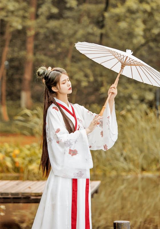 Elegant Hanfu Dress Ancient Chinese Costume Chinese Style Embroidery Tang Dynasty Traditional Nation Dance Princess Dress