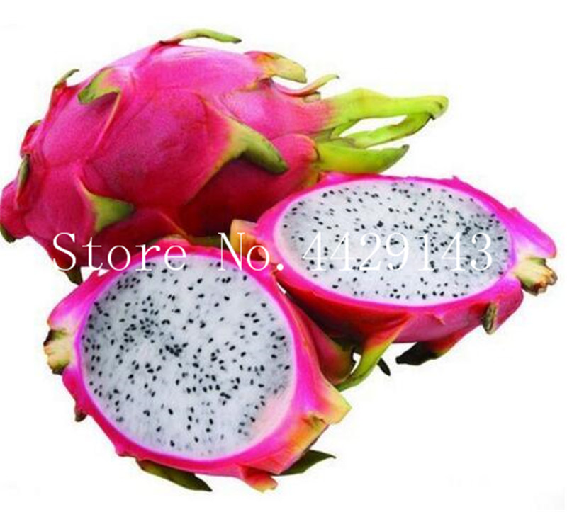 Rare Red Heart Pitaya Bonsai Very Delicious Fruit Tree Dragon Fruit DIY Home Graden Drawf Bonsai Tree 100 Particles/Lot Seeds
Rare Red Heart Pitaya Bonsai Very Delicious Fruit Tree Dragon Fruit DIY Home Graden Drawf Bonsai Tree 100 Particles/Lot Seeds