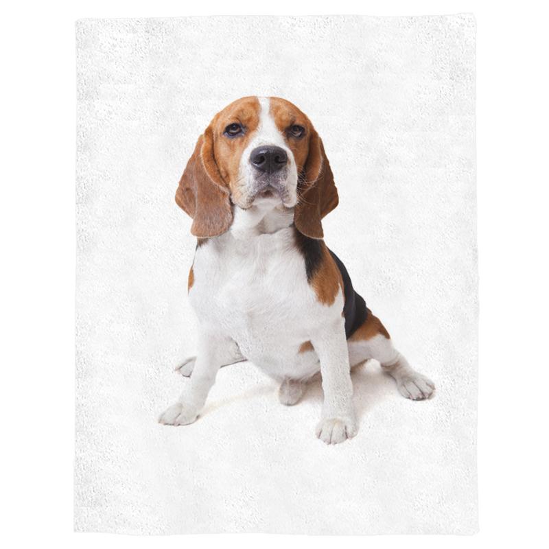 Animal Cute Dog Beagle Brown Spring and Autumn Soft Flannel Blanket Office Siesta Blanket Sofa Bed
Animal Cute Dog Beagle Brown Spring and Autumn Soft Flannel Blanket Office Siesta Blanket Sofa Bed