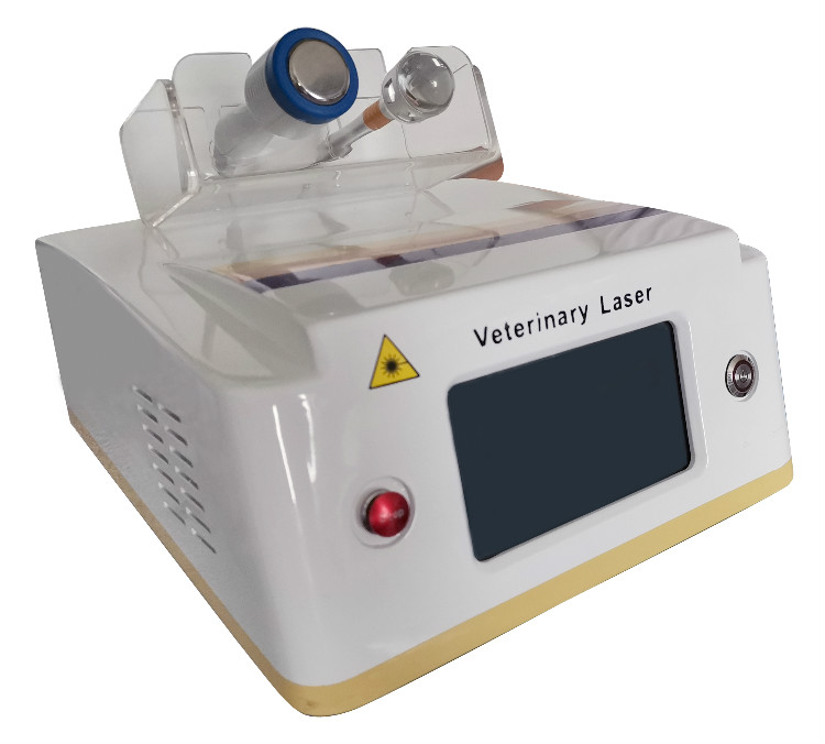 Other Beauty Equipment Good Selling Medical Cold Laser Laser Therapy Veterinary Relief Wound Healing Sports Animal Injury Hurt Pain Removal On Sale
Other Beauty Equipment Good Selling Medical Cold Laser Laser Therapy Veterinary Relief Wound Healing Sports Animal Injury Hurt Pain Removal On Sale