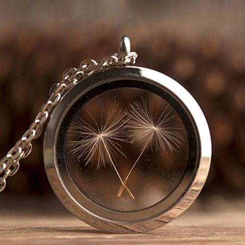 1PC 30MM Window Stainless steel Locket Necklace Dandelion Seed Necklace Dandelion Wish
1PC 30MM Window Stainless steel Locket Necklace Dandelion Seed Necklace Dandelion Wish