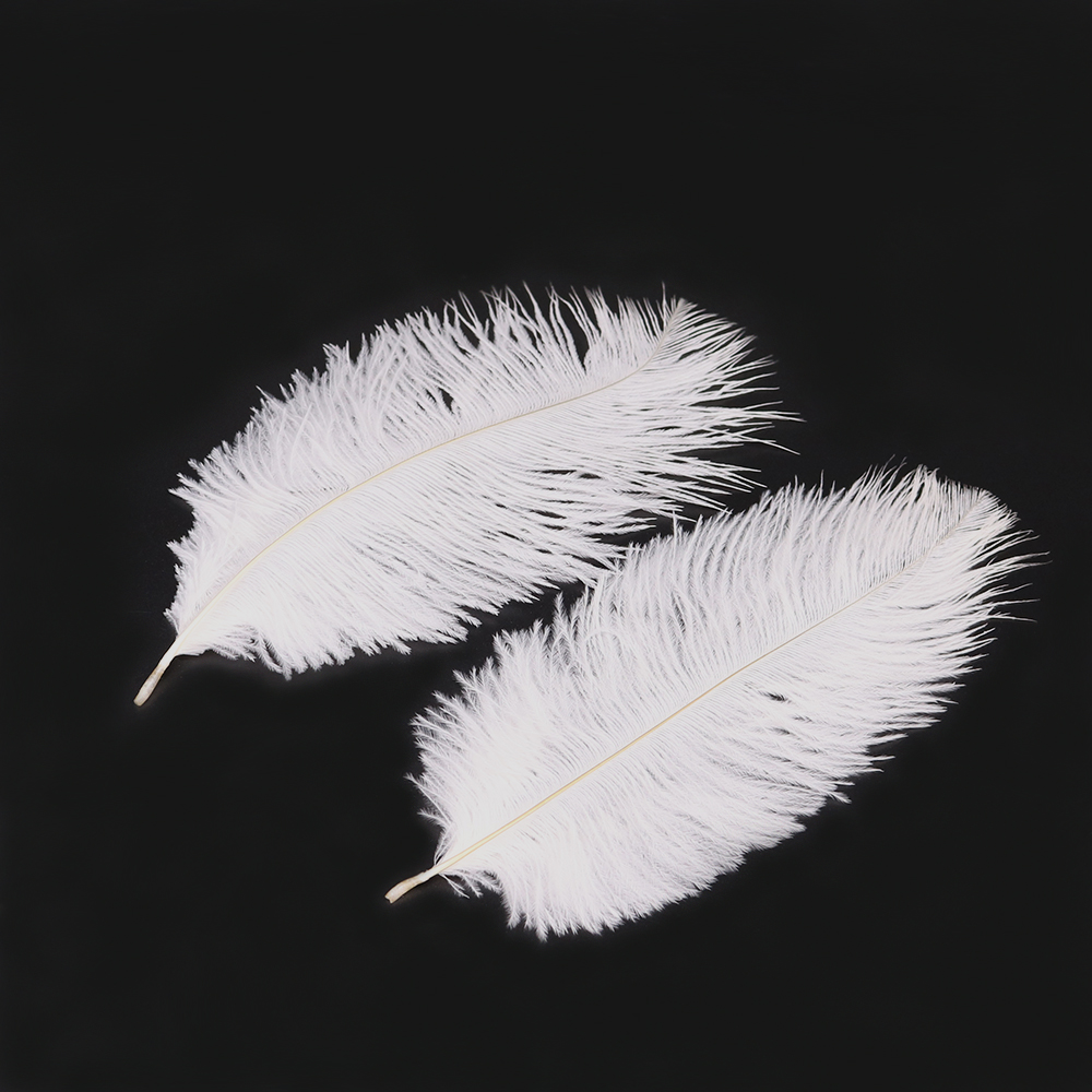 10PCS white ostrich feathers 1575cm for craft wedding party supplies carnival dancer decoration plumages