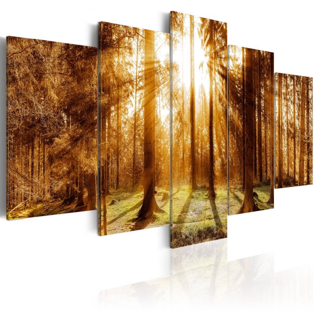 Hd modern Fashion Wall Art Canvas Painting 5 Pieces Green Brown Black Sunlit Forest Landscape Modern Home Decoration, No Frame