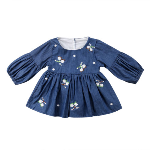 Newborn Denim Floral Dress Kids Girls Clothes Baby Girl Puff Long Sleeve Floral Dress Denim Princess Summer Casual, As pic
Newborn Denim Floral Dress Kids Girls Clothes Baby Girl Puff Long Sleeve Floral Dress Denim Princess Summer Casual, As pic
