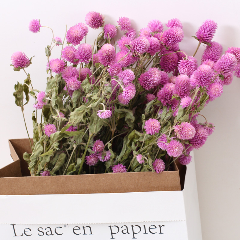 45 Head Globe Amaranth Dried Flower Bouquet Rose Pink Purple Gomphrena Globosa Pressed Flowers for Home Wedding Party Decoration
45 Head Globe Amaranth Dried Flower Bouquet Rose Pink Purple Gomphrena Globosa Pressed Flowers for Home Wedding Party Decoration
