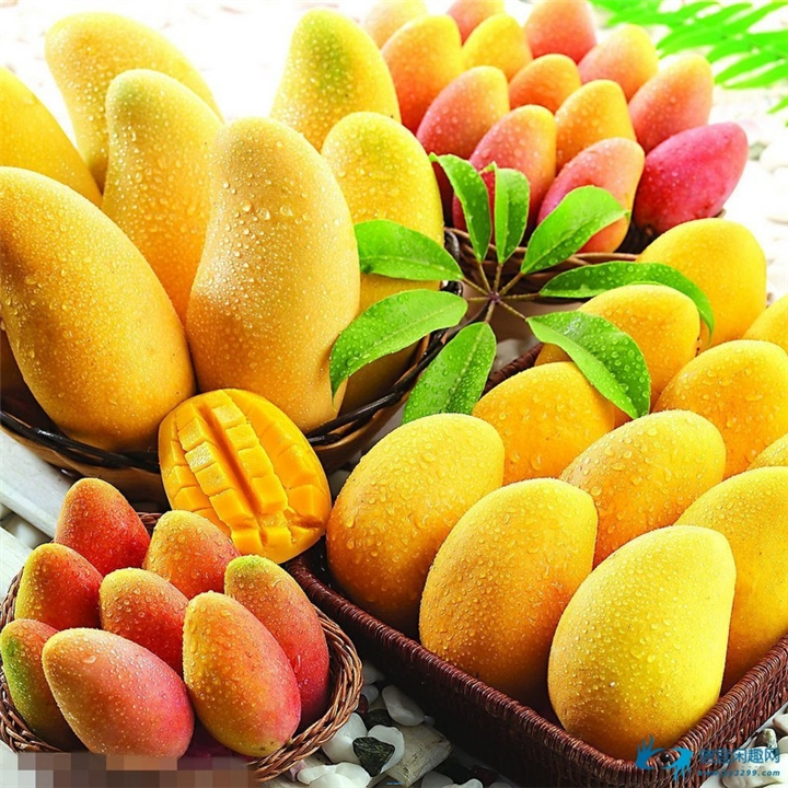 2 pcs/bag Mango seeds,mini mango tree seeds,bonsai tree seed,Organic fruits and vegetables seeds,pot for home garden planting
2 pcs/bag Mango seeds,mini mango tree seeds,bonsai tree seed,Organic fruits and vegetables seeds,pot for home garden planting
