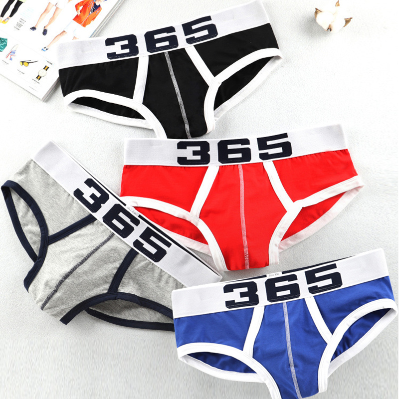 Januarysnow Hot Sale Men Underwear Sexy Men Briefs Mesh Breathable Comfortable Underpants U Pouch Male Panties Cueca Tanga Slip Homme