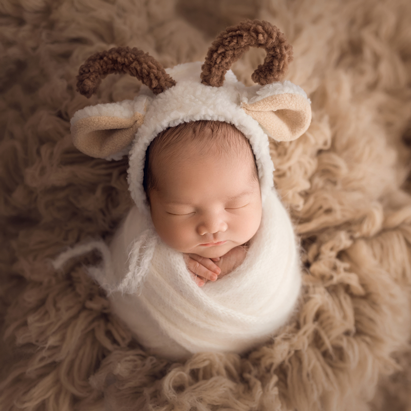 Felted newborn props bonnet Wool curly sheep hat Felted baby photography props Animal hat