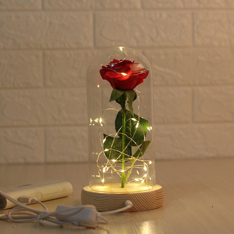 Artificial Rose Flower And USB Powered LED Light String In Glass Dome On Wooden Base The Best Gift For Women, Beige
Artificial Rose Flower And USB Powered LED Light String In Glass Dome On Wooden Base The Best Gift For Women, Beige