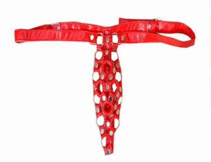 wholesale high quality low price 3pcs/lot men's sexy T-pants G-sgrings underwear 18dfdf, Red
wholesale high quality low price 3pcs/lot men's sexy T-pants G-sgrings underwear 18dfdf, Red