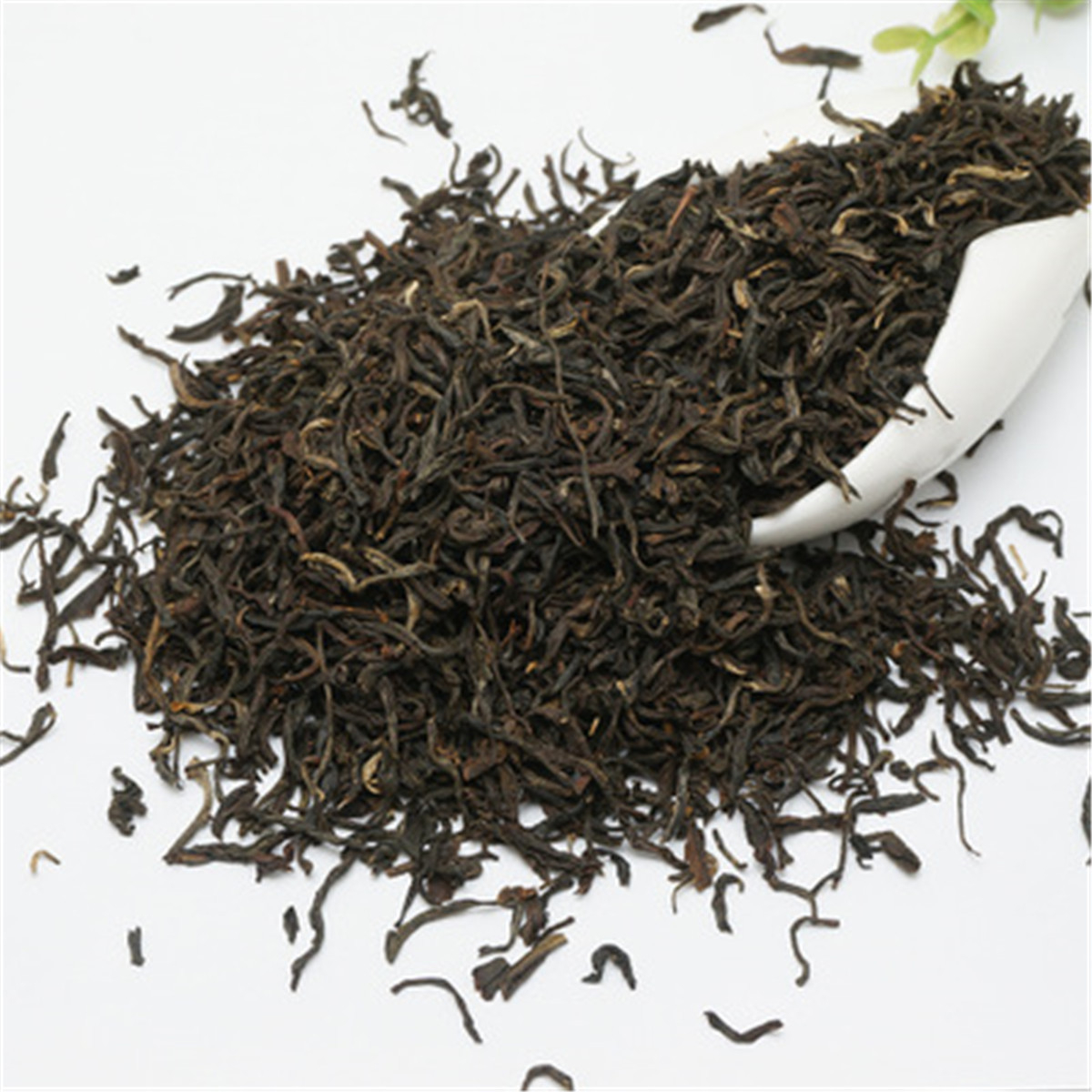 Preference Chinese Organic Black Tea Keemun Loose Kongfu Red Tea Health Care New Cooked tea Green Food
Preference Chinese Organic Black Tea Keemun Loose Kongfu Red Tea Health Care New Cooked tea Green Food