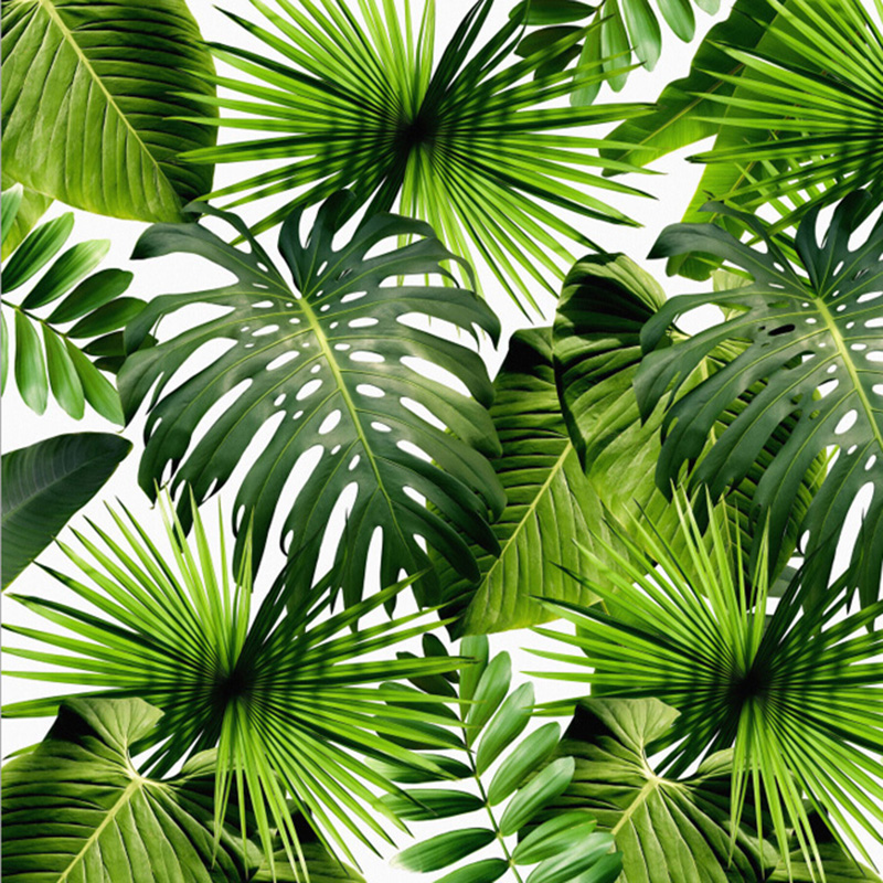 Custom 3D Mural Wallpaper Tropical Rain Forest Banana Leaves Photo Murals Living Room Restaurant Cafe Backdrop Wall Paper Murals1